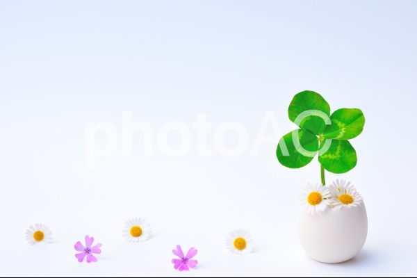 5d56ea9bdf59985b058439442773c5bb_w