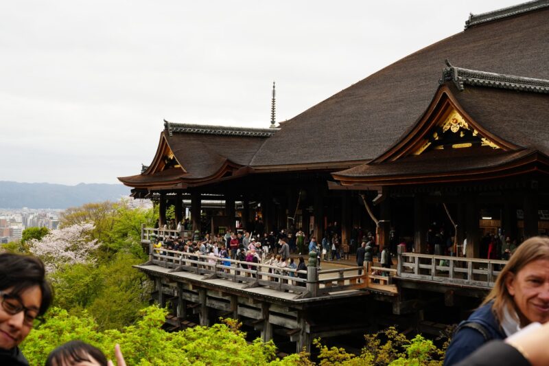 BF40991D-9558-4896-95D7-5DEB6705E483