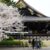 🌸🙏京都・東本願寺で収骨式🕊️✨ - 桜満開の中、家族旅行スタート🚗🌸